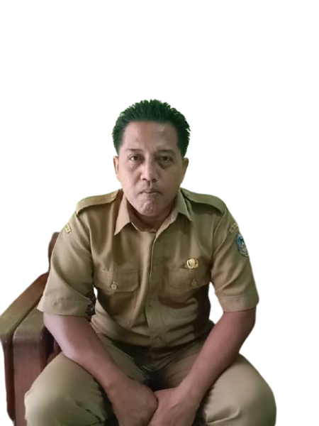 IRWAN EFENDI, S.Pd.SD